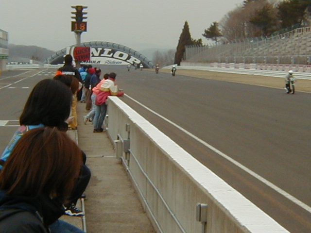 �F�B�̑�������߂邢���̃T�[�L�b�g�̕��i